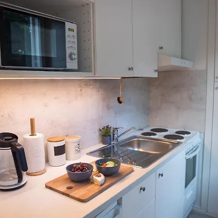 Kotoisa & Tyylikaes Keskusta-asunto Neljaelle! Appartement Tampere